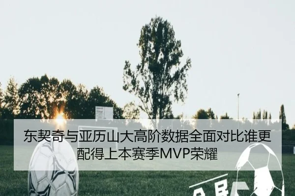 东契奇与亚历山大高阶数据全面对比谁更配得上本赛季MVP荣耀